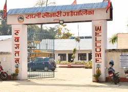 बाँकेको राप्तीसोनारीबाट सामुदायिक वन अध्यक्ष सहित आठजना पक्राउ